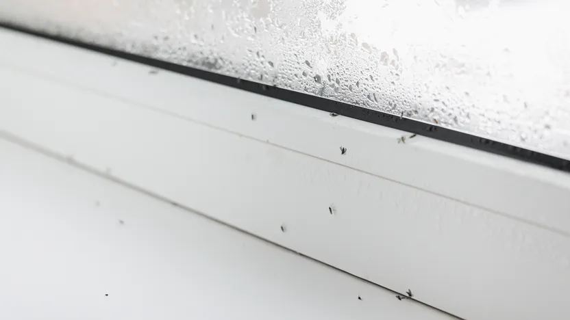 Bedste affugtere – Test og guide til affugtere