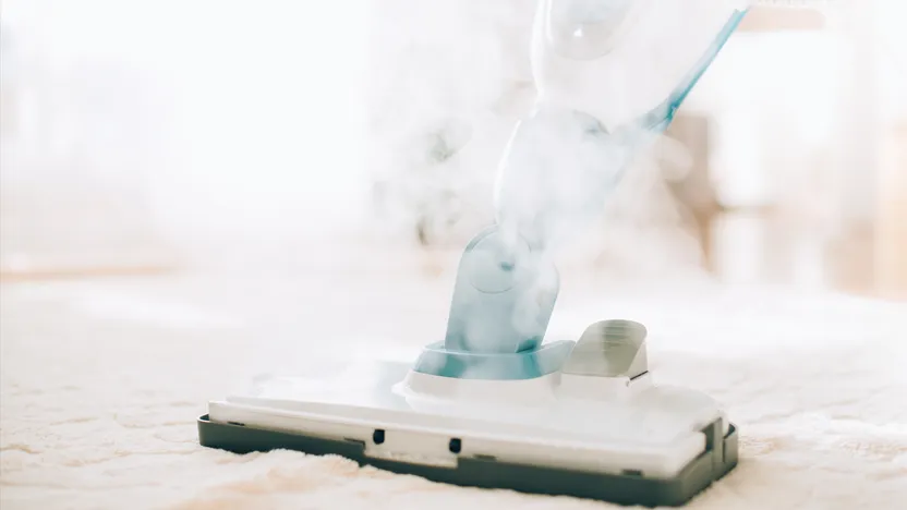 Rennoa: Den komplette guide til kemikaliefri rengøring med danske damprensere