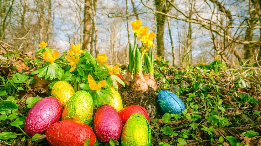 Påskeæg 2026: Forkæl dine kære med unikke påskeæg fra Coolstuff