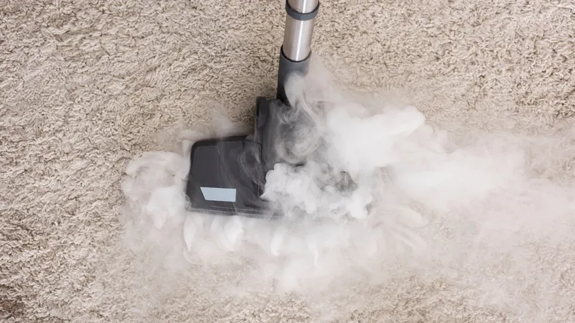 Rennoa SteamCleaner Guide: Alt om Danmarks populære damprenser