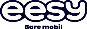 Eesy logo